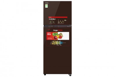 Tủ lạnh Toshiba GR-AG36VUBZ(XB1) Inverter 305 lít