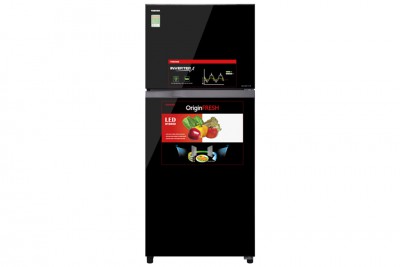 Tủ lạnh Toshiba GR-AG41VPDZ(XK1) Inverter 359 lít