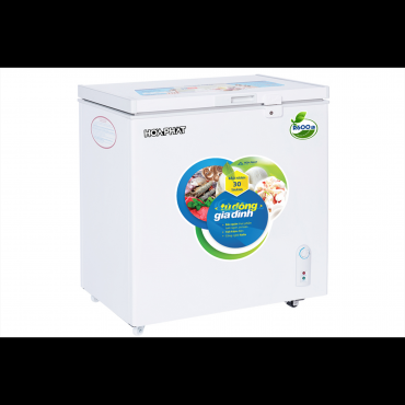 Tủ Đông Hòa Phát HCF 336S1Đ1