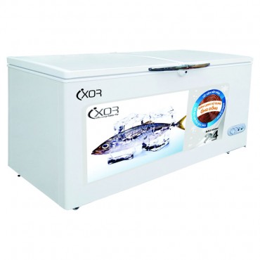 Tủ đông lạnh Ixor IXR-2989DLG